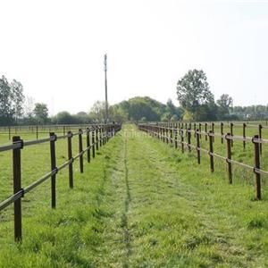 hippo safety fence